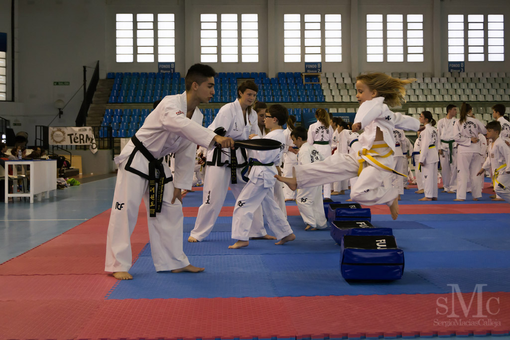 DIA DEL TAEKWONDO ABRIL 2017_3723.JPG